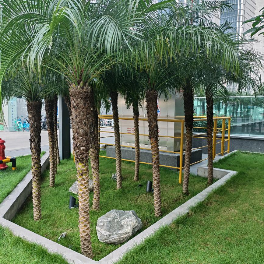 美🐏酒🐕夜🐇光🐓杯🐕