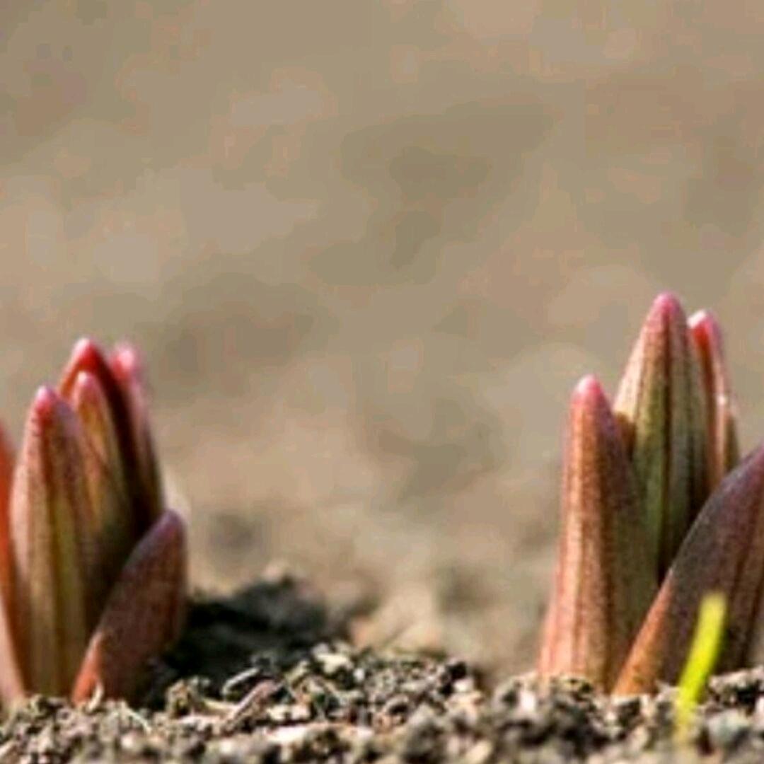 tp那些你很冒险的梦