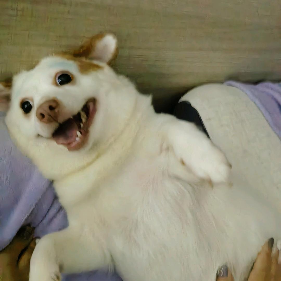 安宁