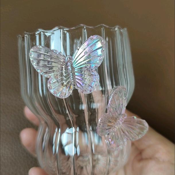 林老师的康康日记