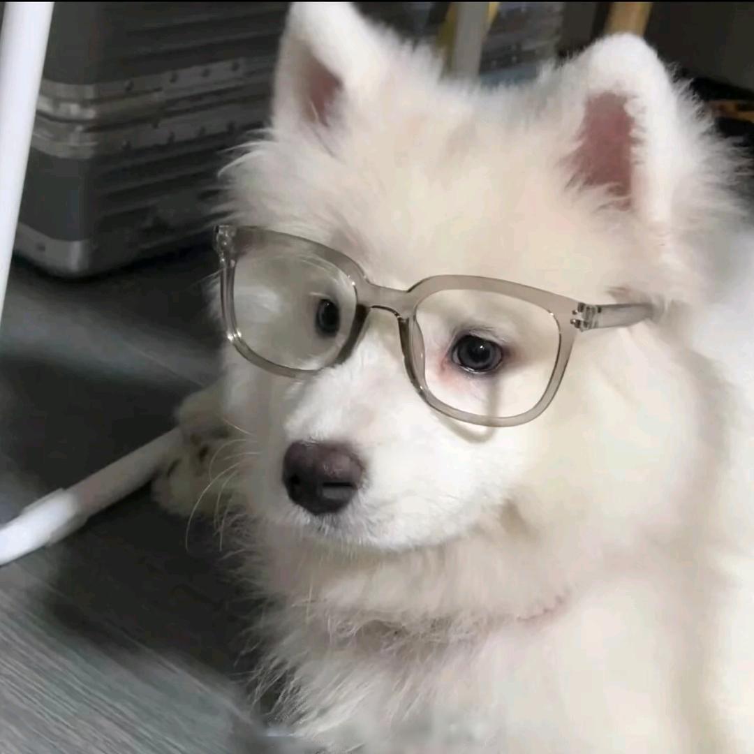 英子发了