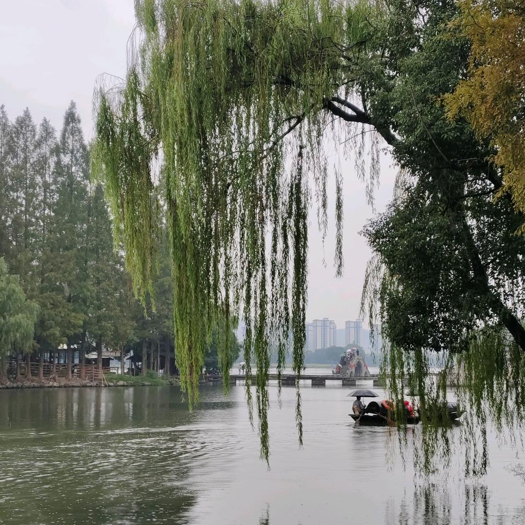 放飞心情🌴🎣