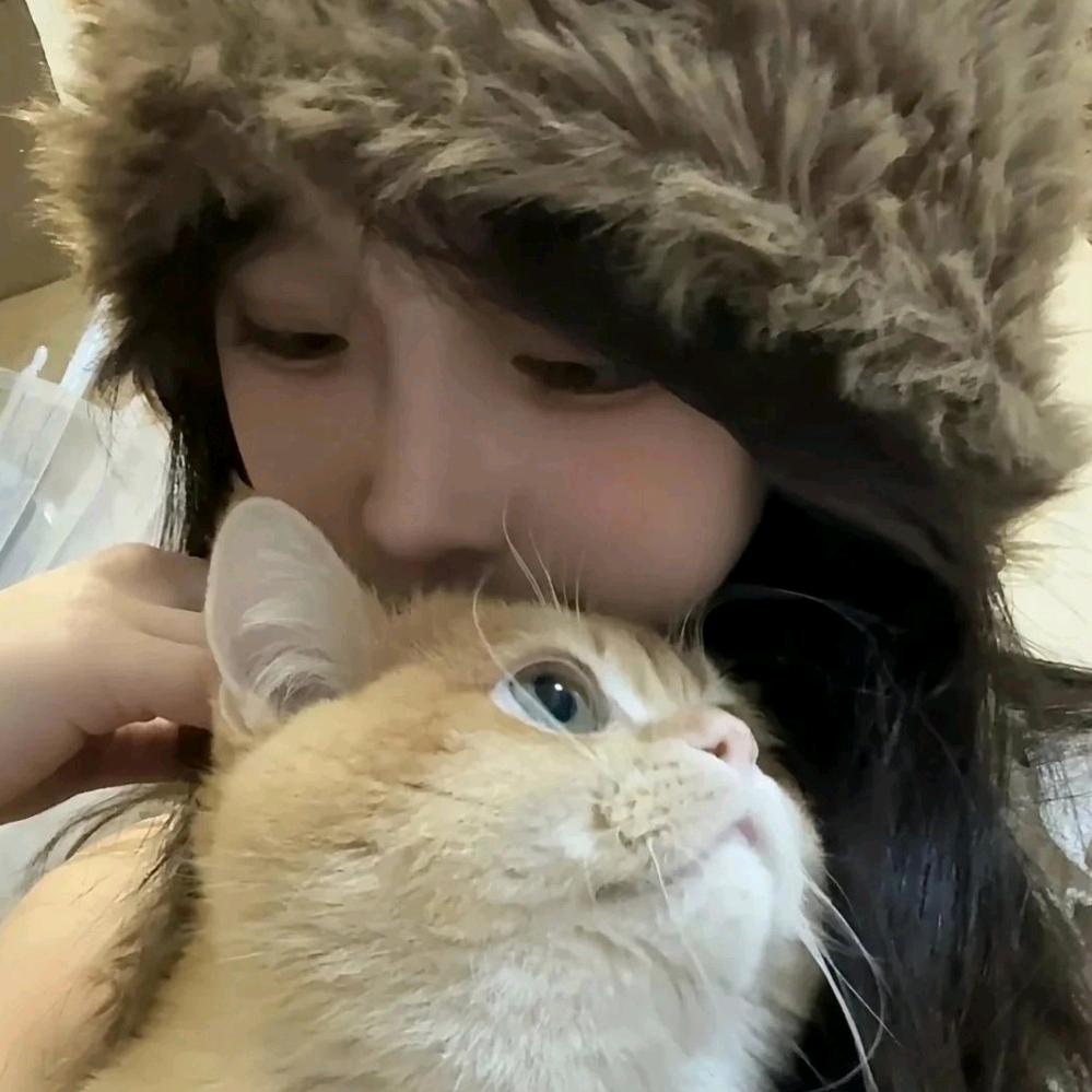 酸奶盖