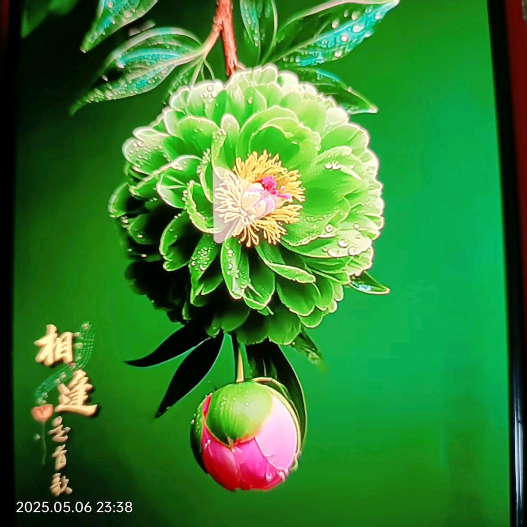 佳以尚风，以你同在