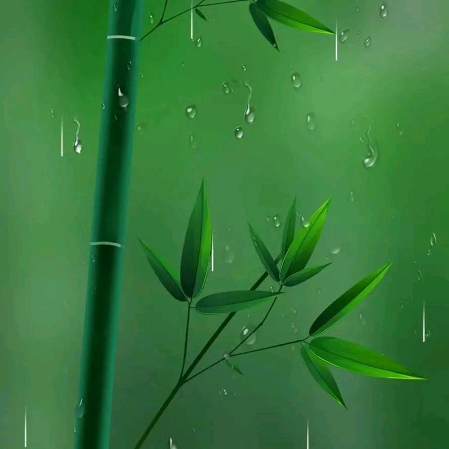 游子