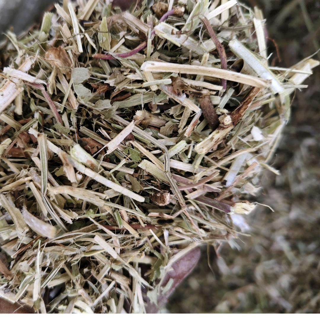 红方草业