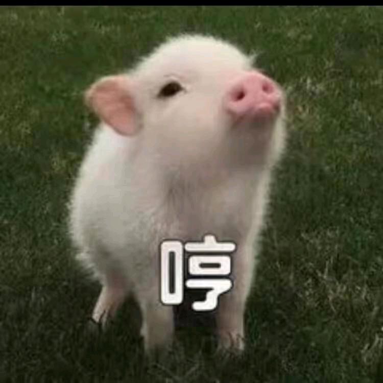 春露