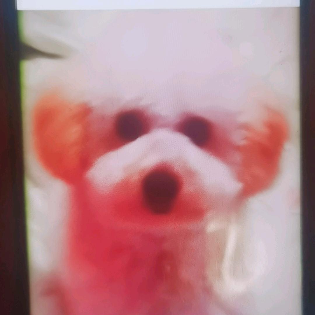 艳子，
