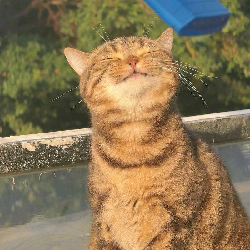 拾光🌿