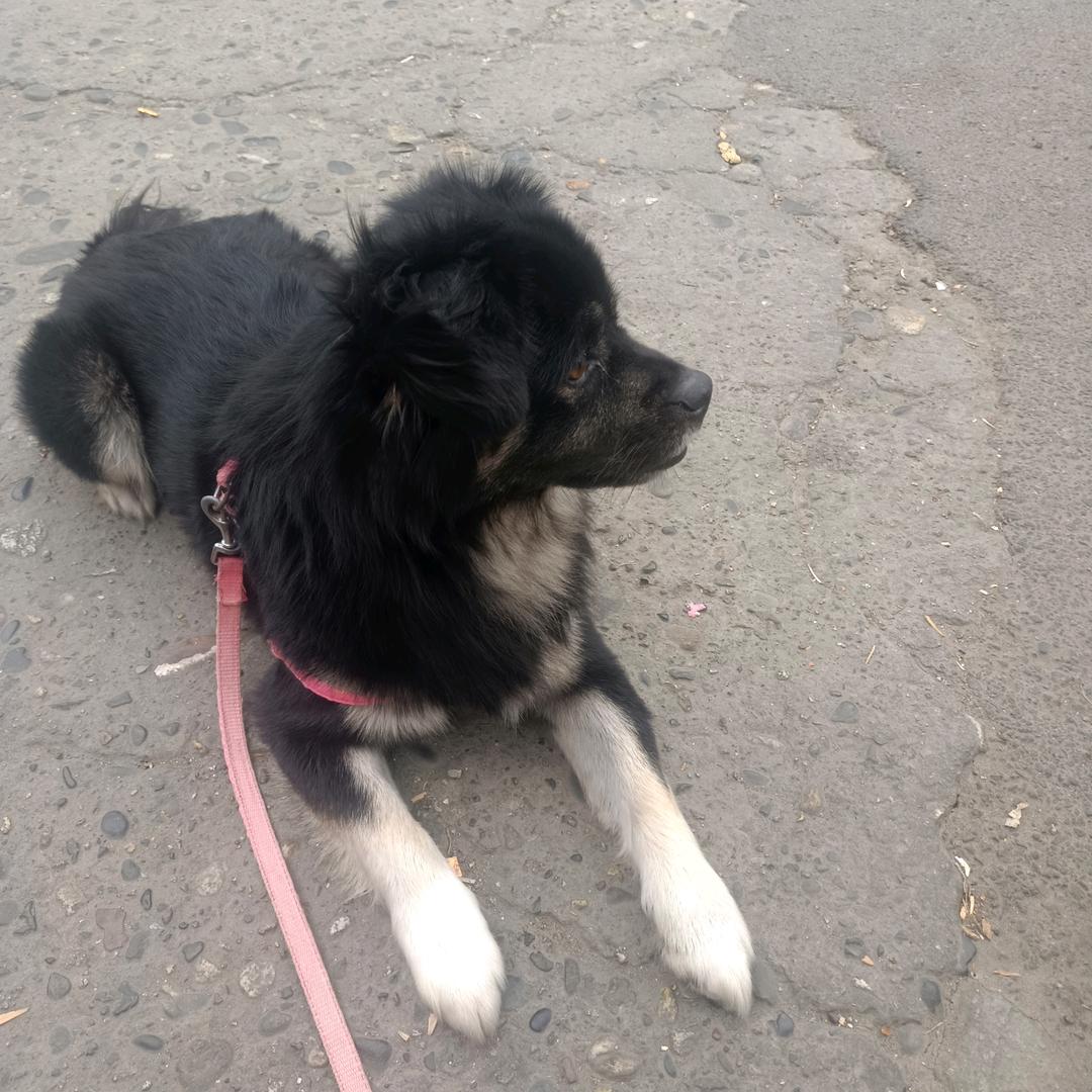 张诗怡公主女战神