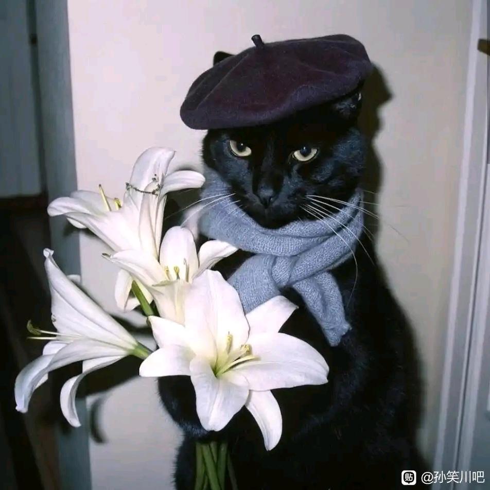 狼角月羊           等35万人