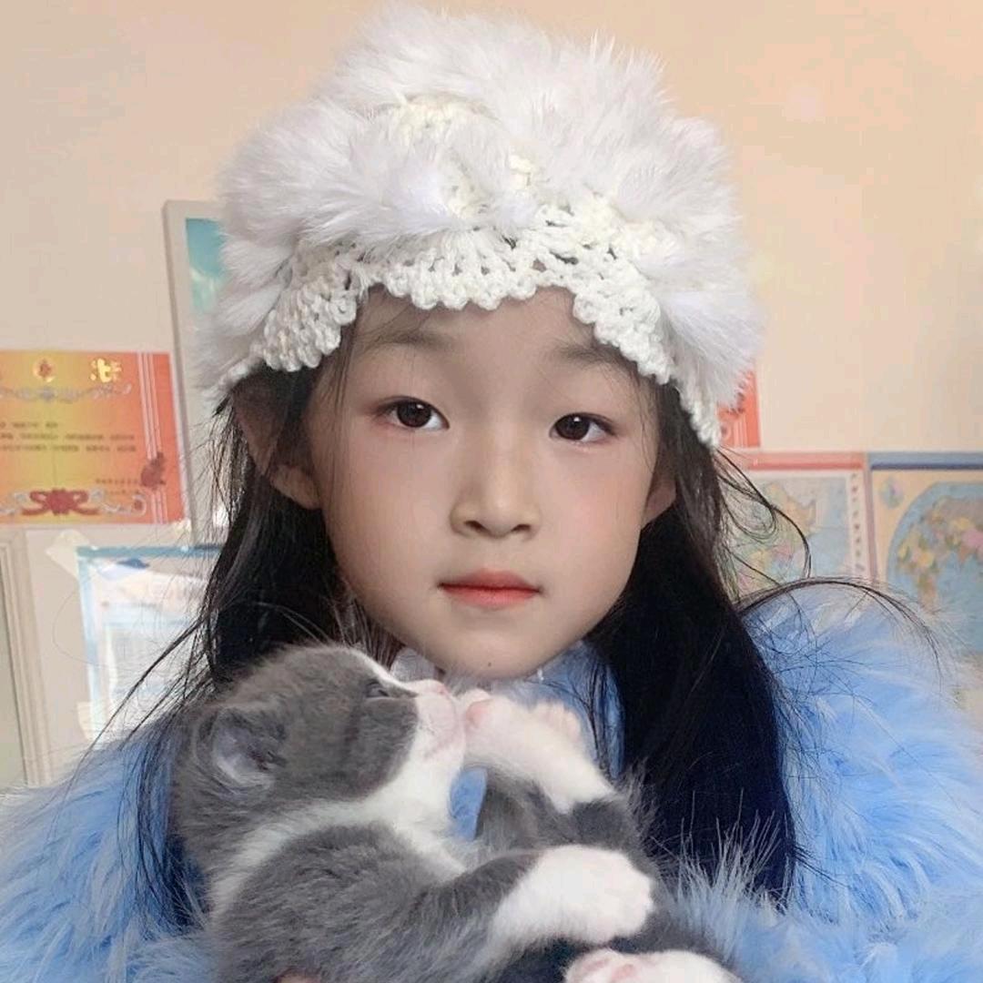 芯睿智控电子臧