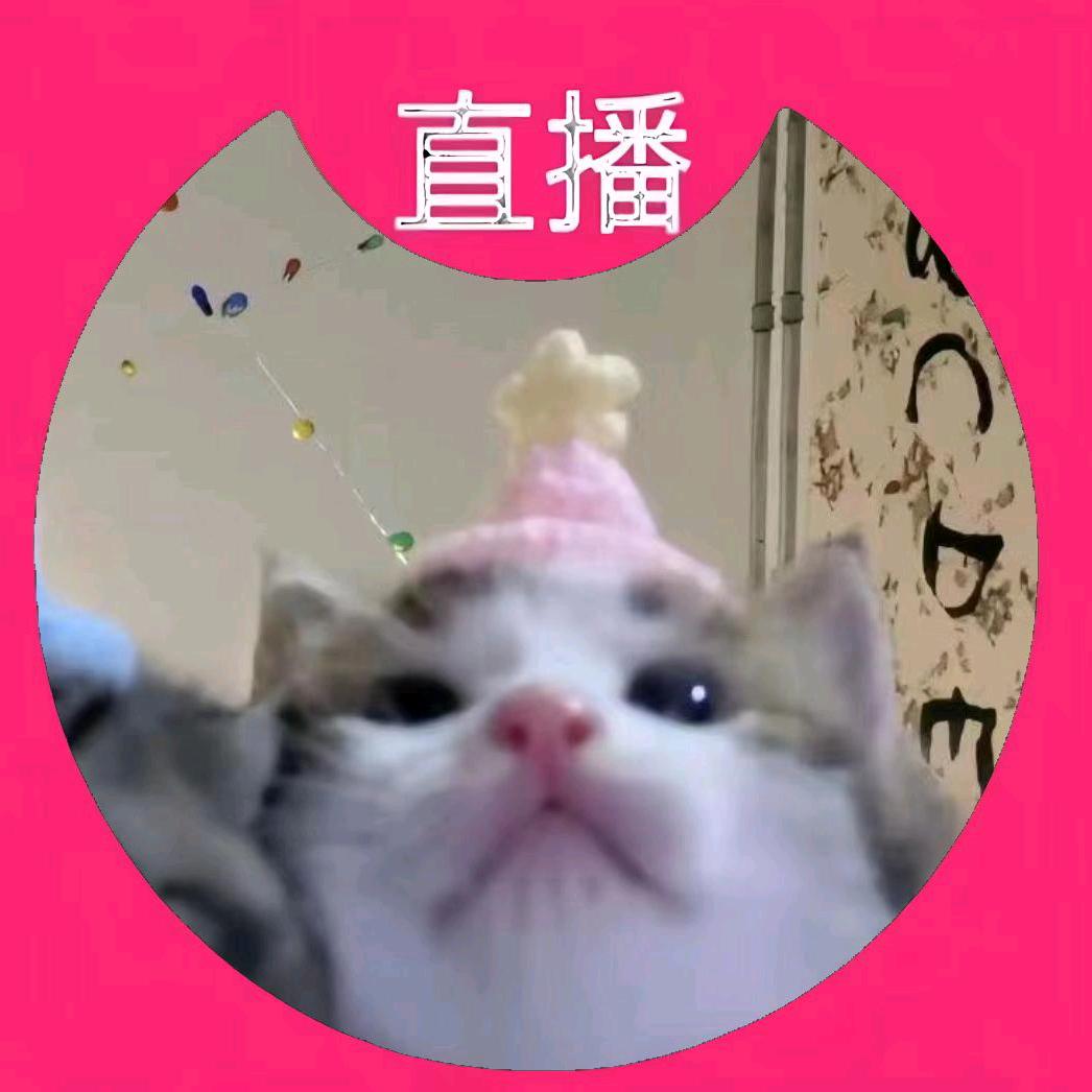 yoloo