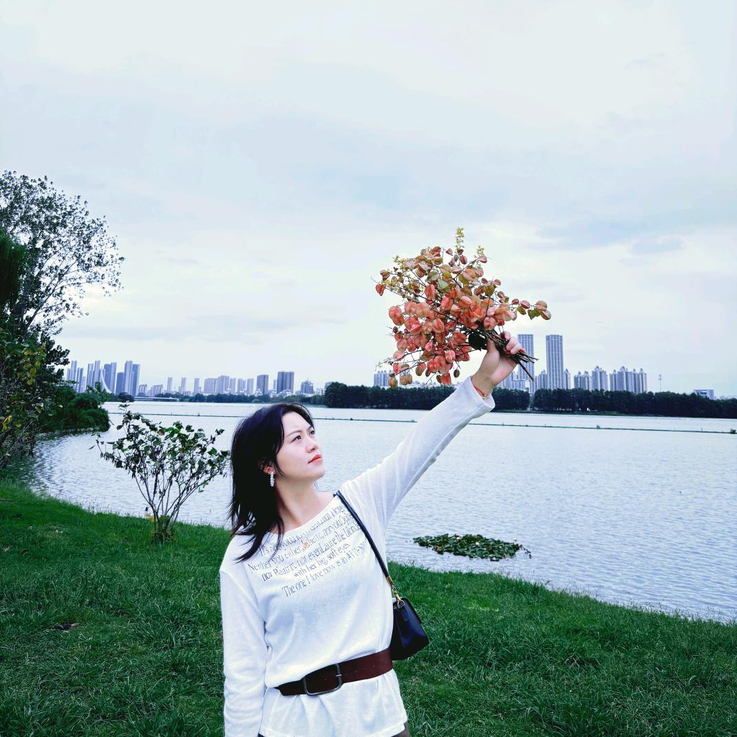 宸与陈