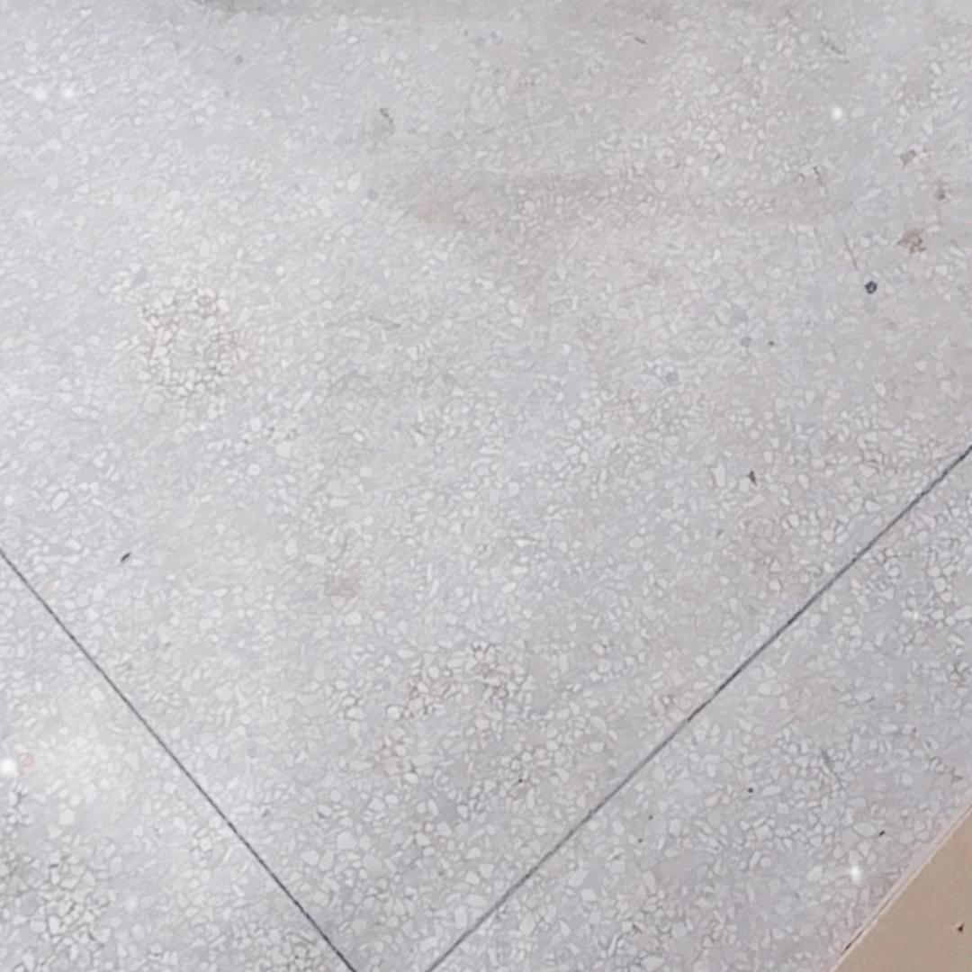 1283808769