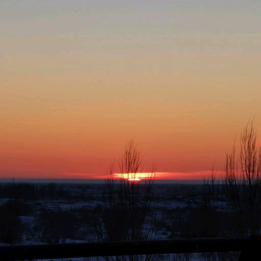 你看那个人像条狗耶