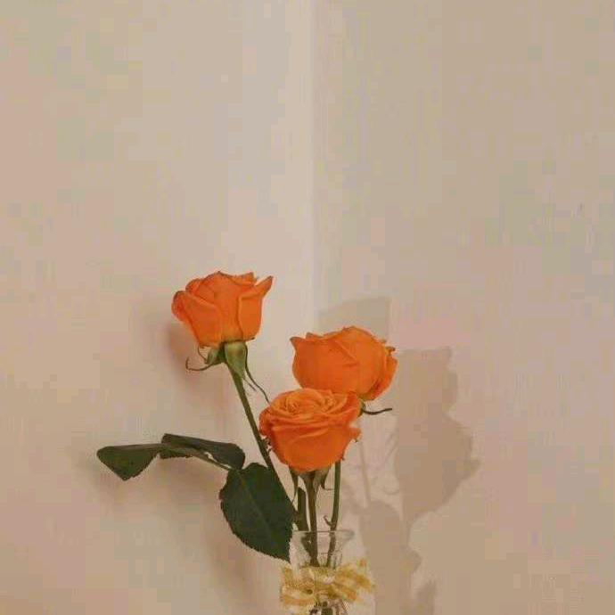 蓝皮鼠电视机配件