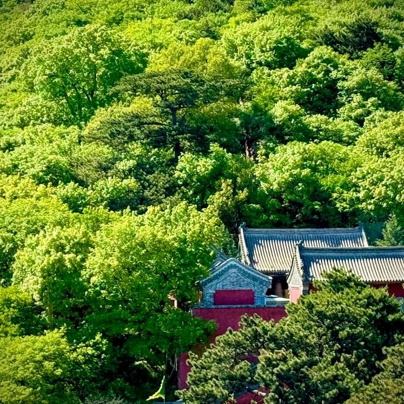 延旭电商云品甄选阁