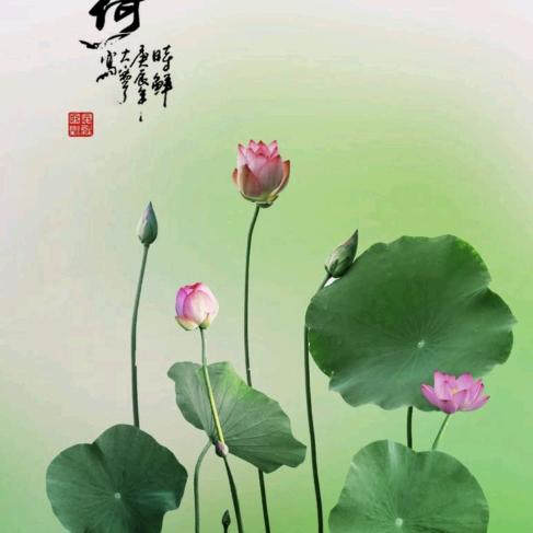 杏林小院