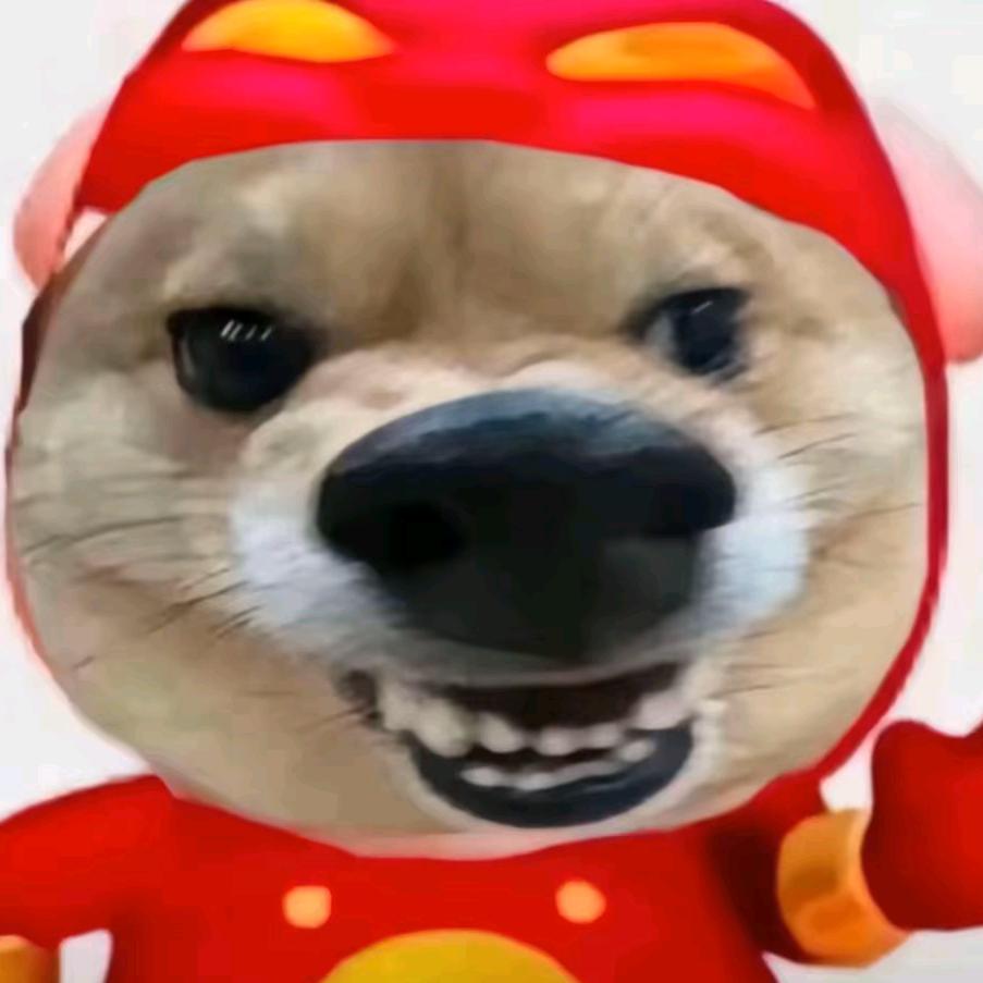 段宇
