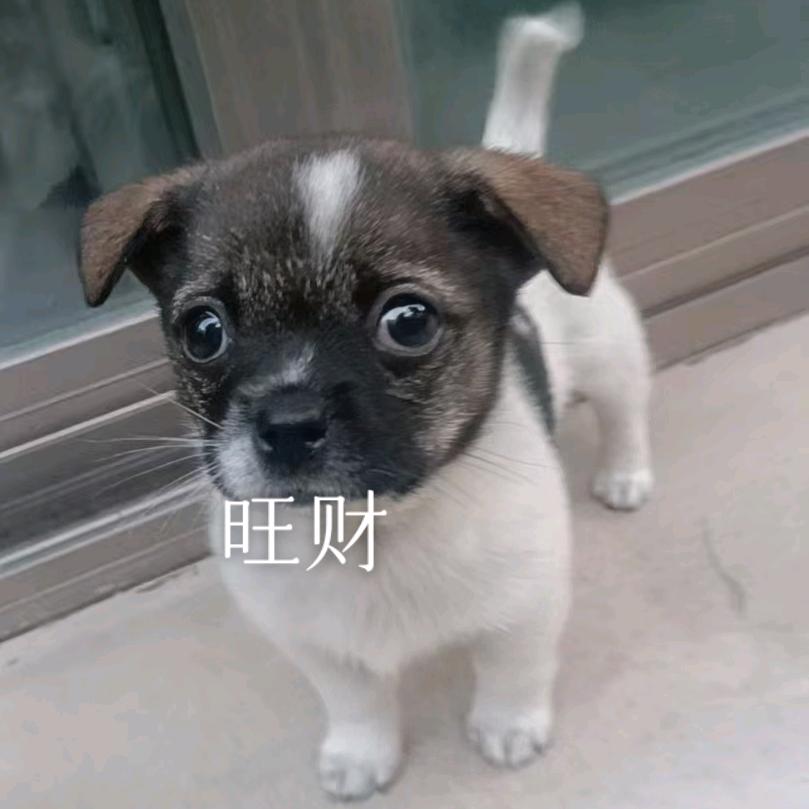 有糖🥀এ᭄毕甜💕ོ࿐