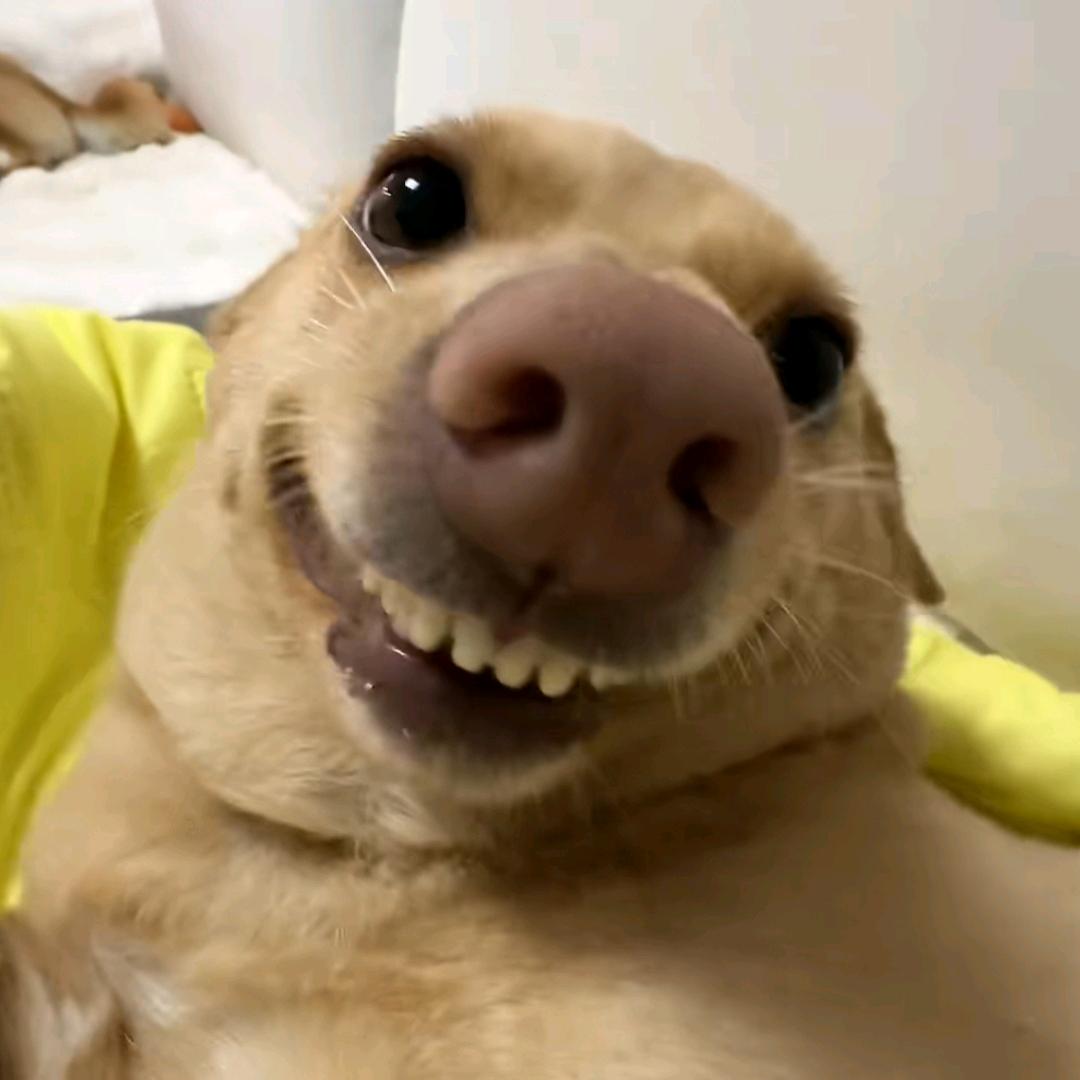 翰翰说车
