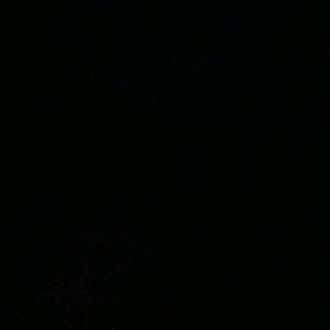 只爱你