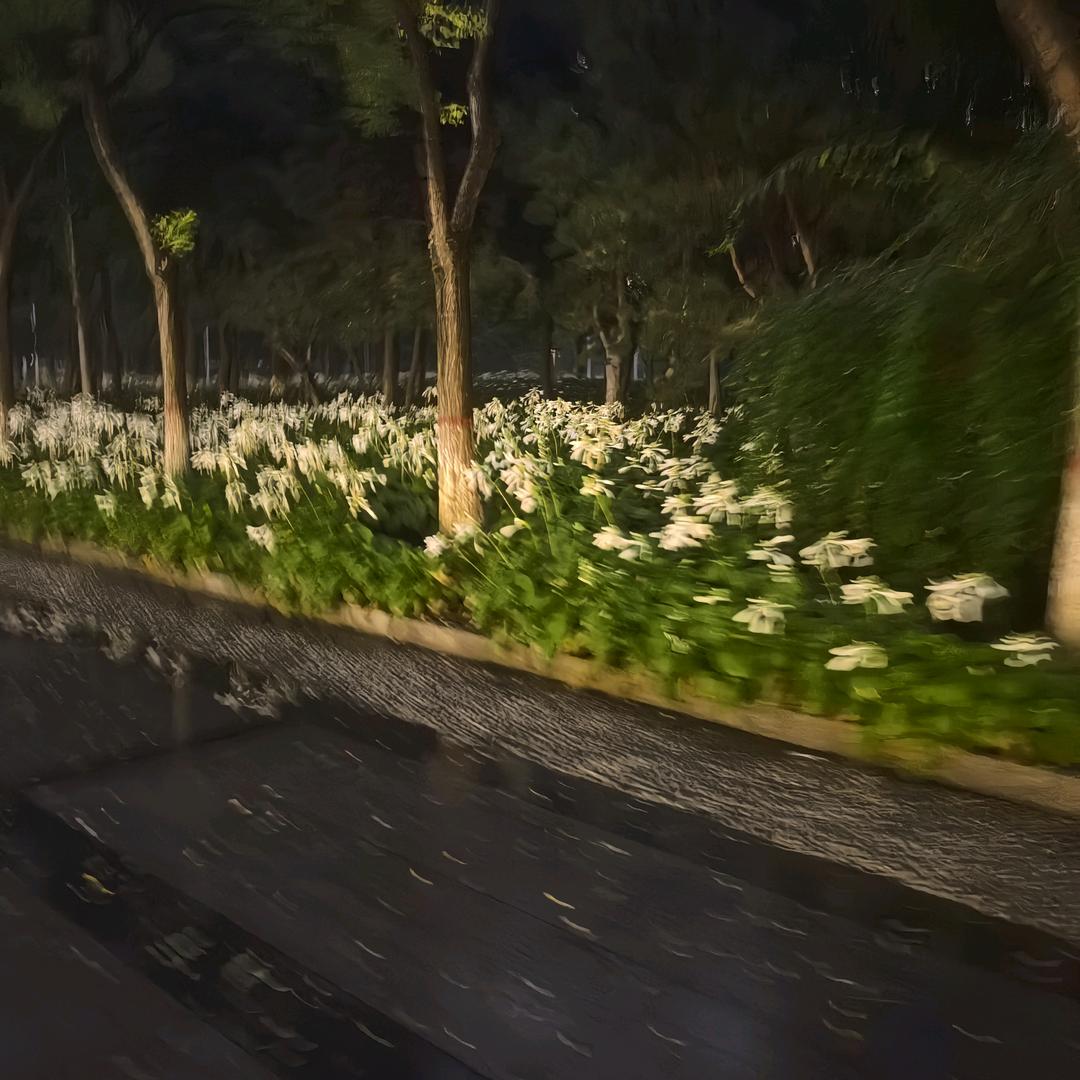 也曾想(见过马子亮)