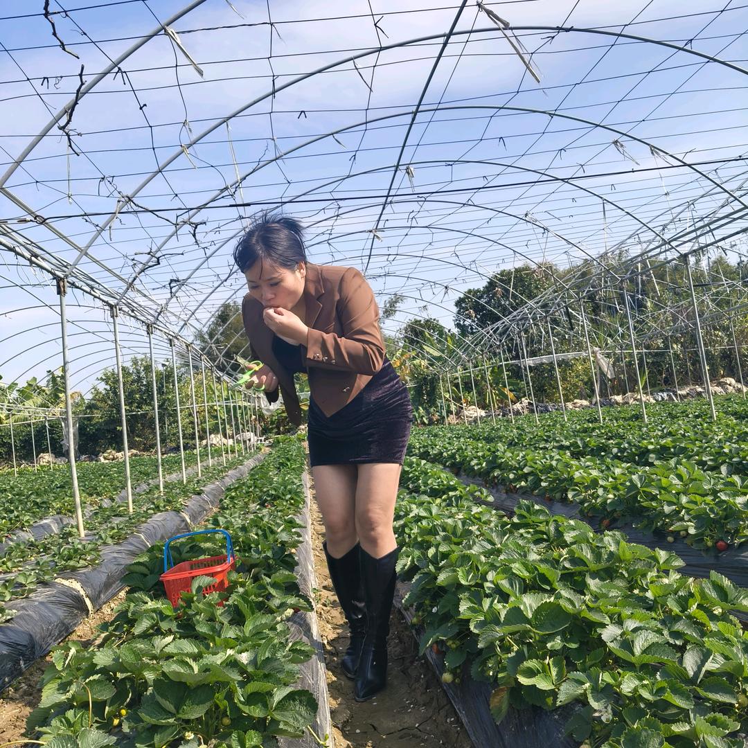 心灰意冷