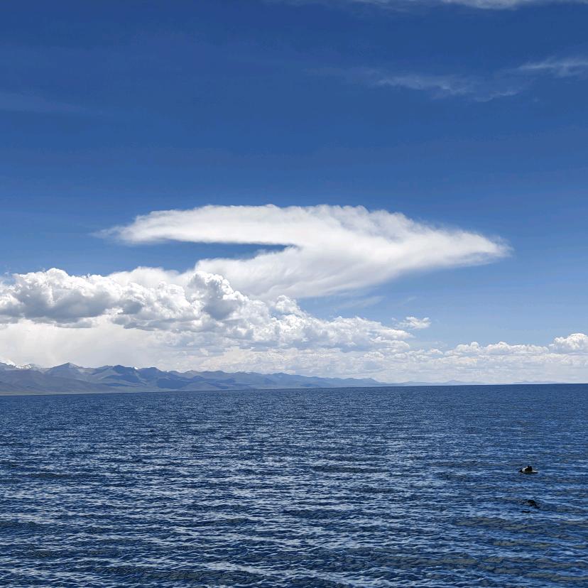 毕尔旺手绘唐卡