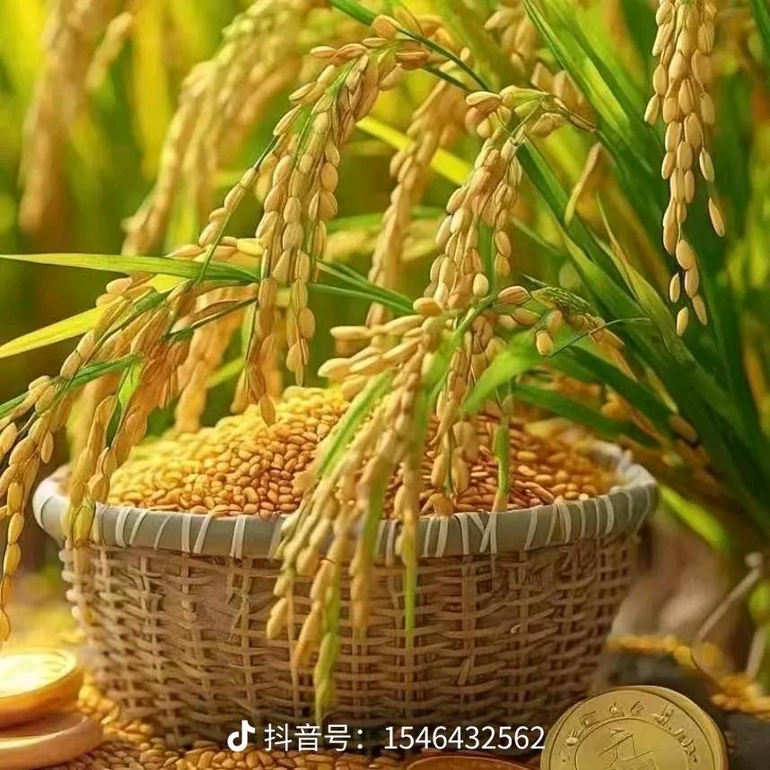 @天秤座♎