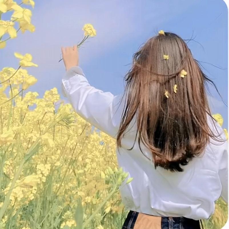 新郑机场招聘～叉车司机～打板工