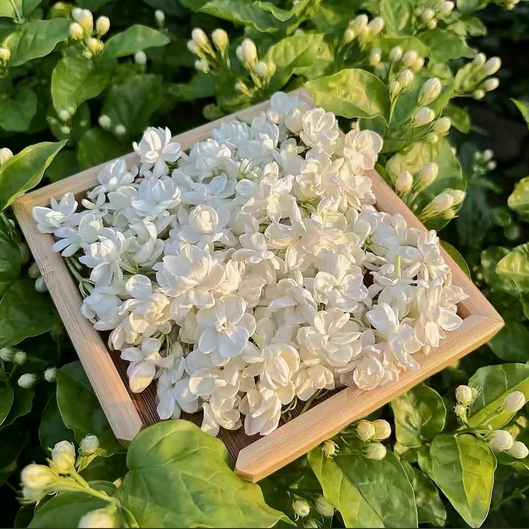 俯瞰众山💪💪💪