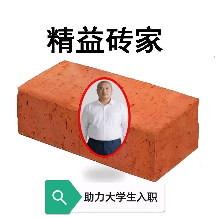 精益砖家