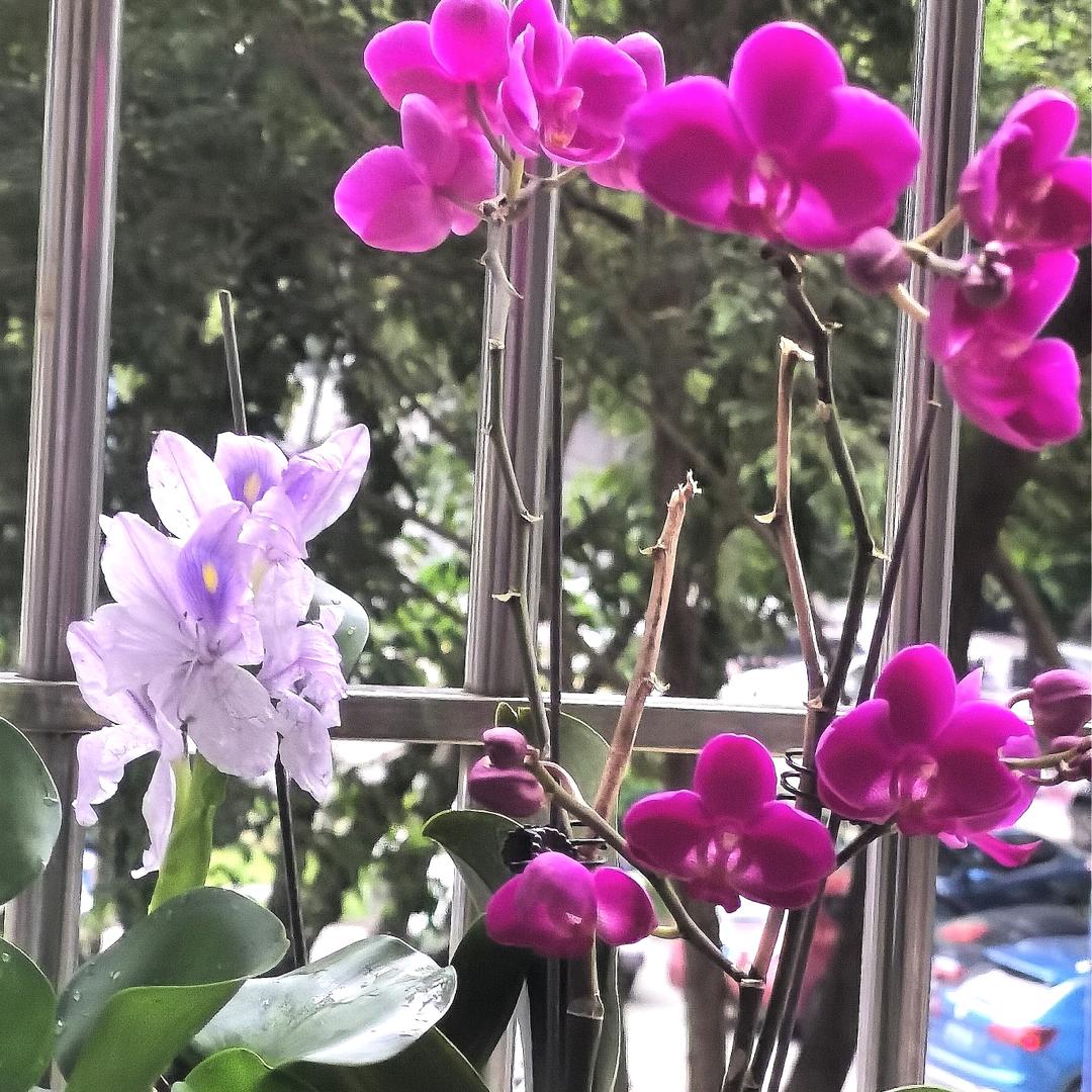 蓝天