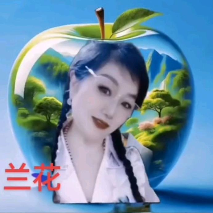 A.🇨🇳🎶兰花