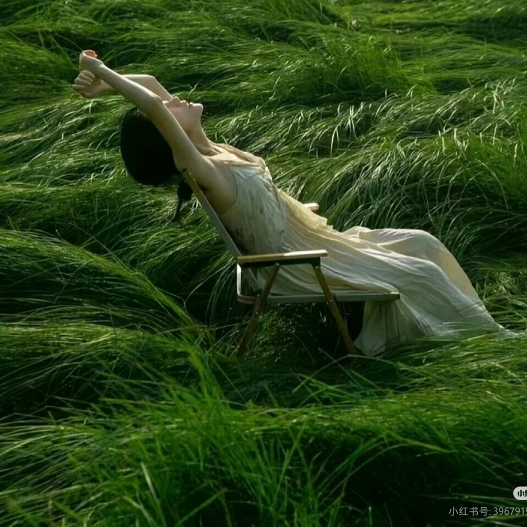 凌晨一点的猫🐱