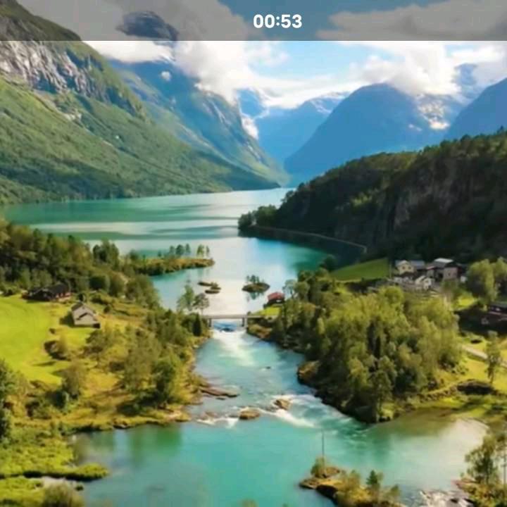 忘忧草