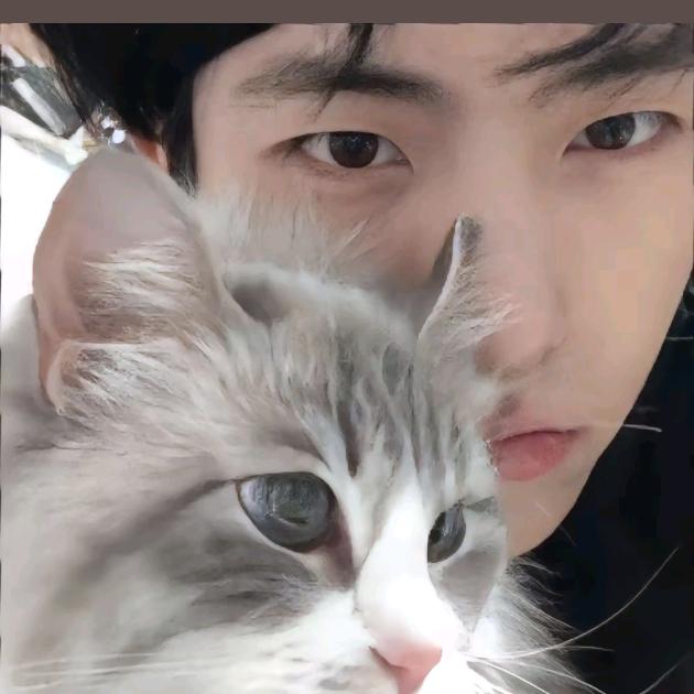 ๑ò南风ᆺ微凉ó๑🌈