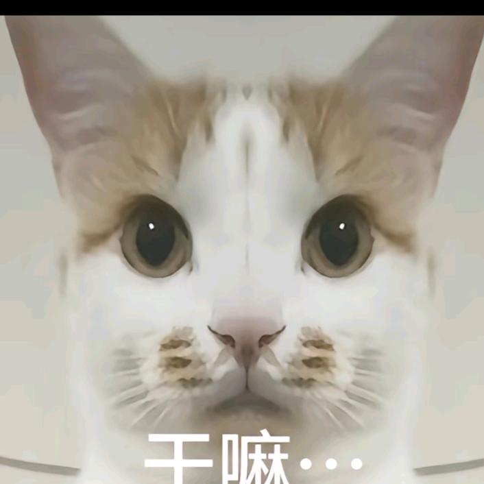 默