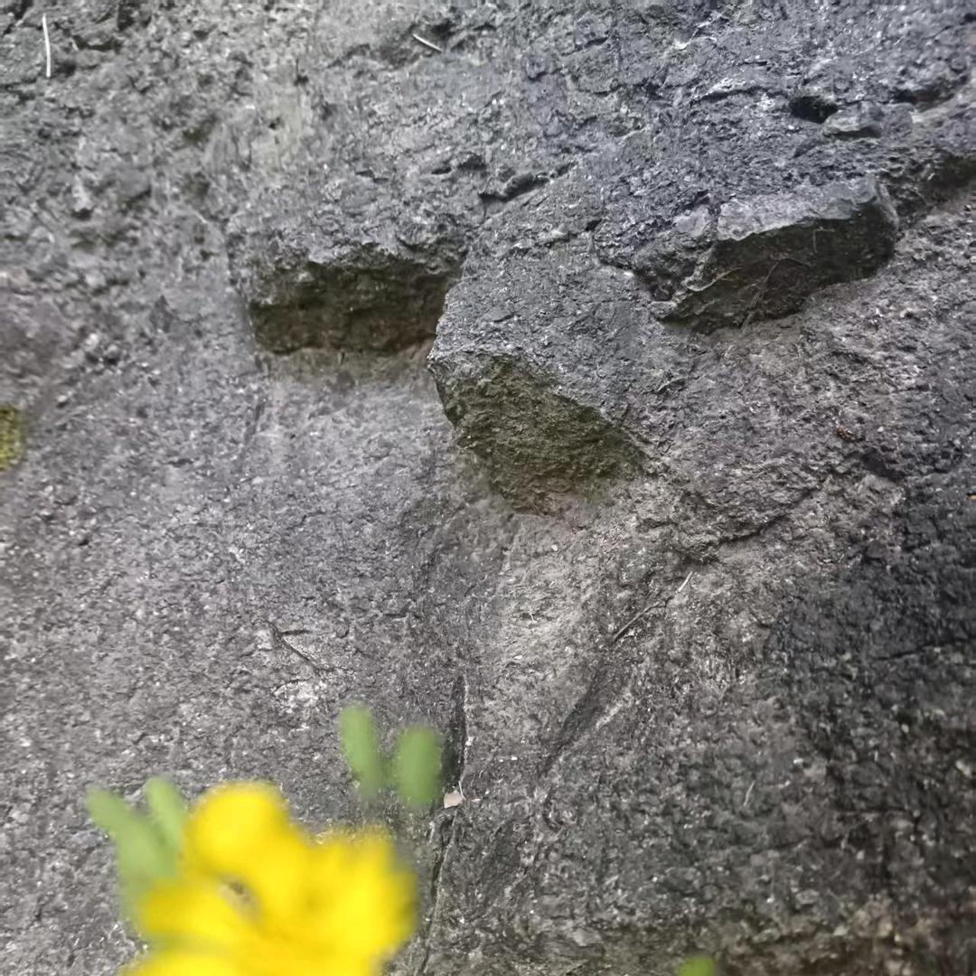人间有味