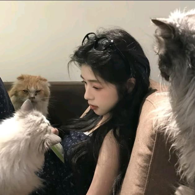 猫也打了个哈欠