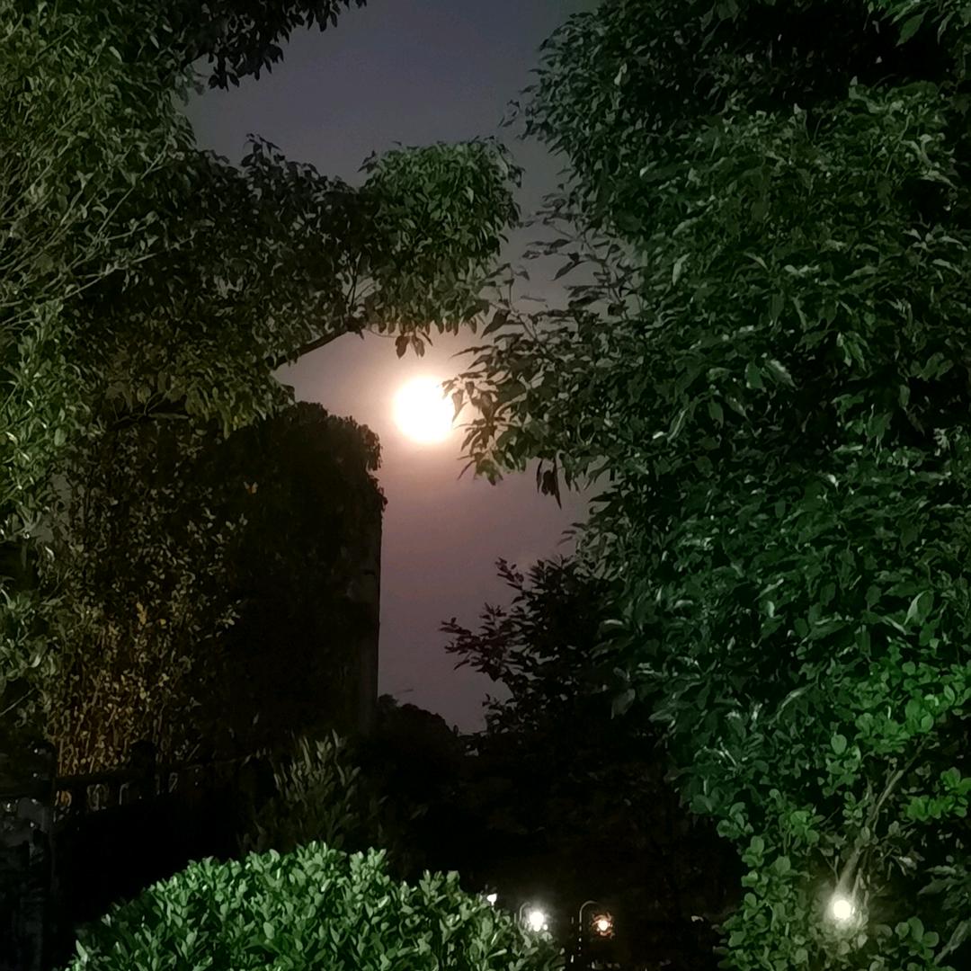 明月清泉