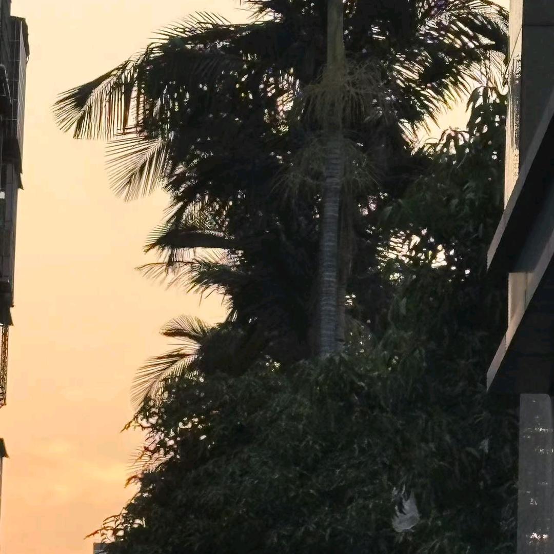 不太瘦