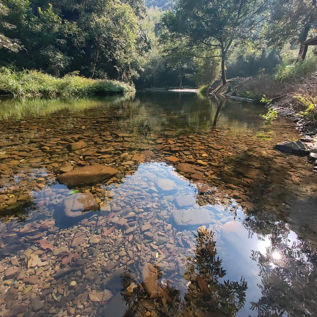 卓睿（近我者富）