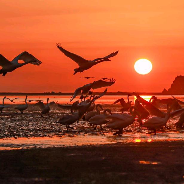 柚埼电子商务商行