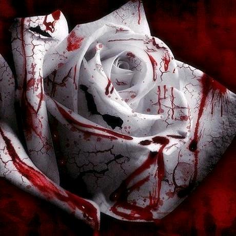 ꧁❦ 魑魅噬靈℡ ❦꧂