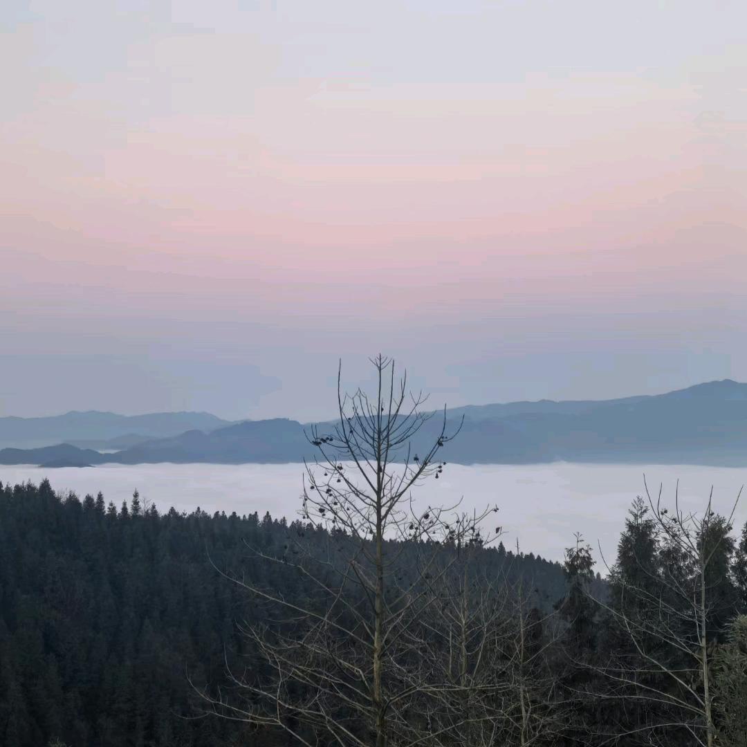 燕子城