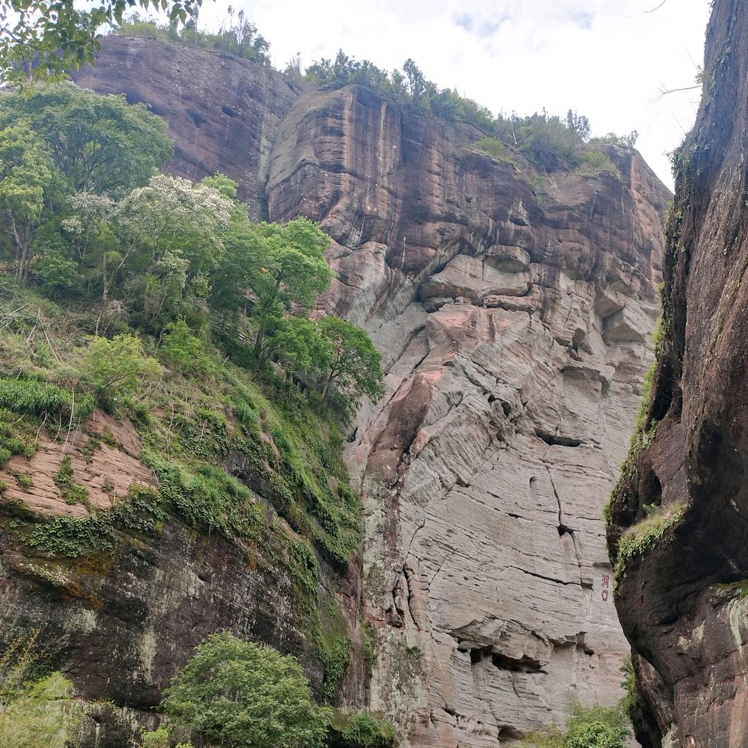 林小小