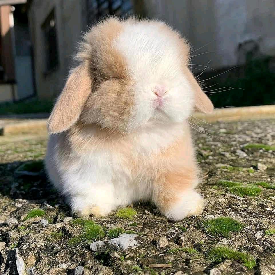 好好好七八个人撵我